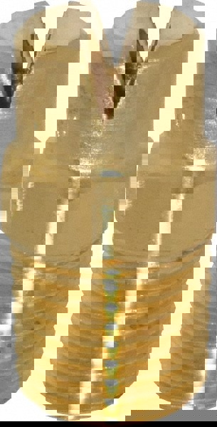 Brass Standard Fan Nozzle: 1/4